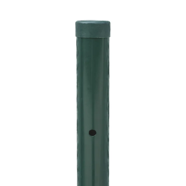 PALO TONDO VERDE Verdelook