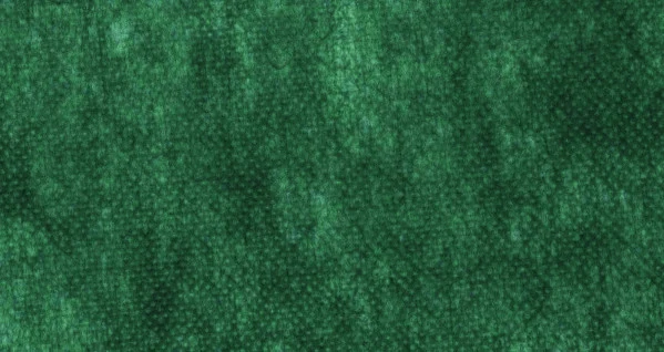 Tessuto TNT Verde Verdelook