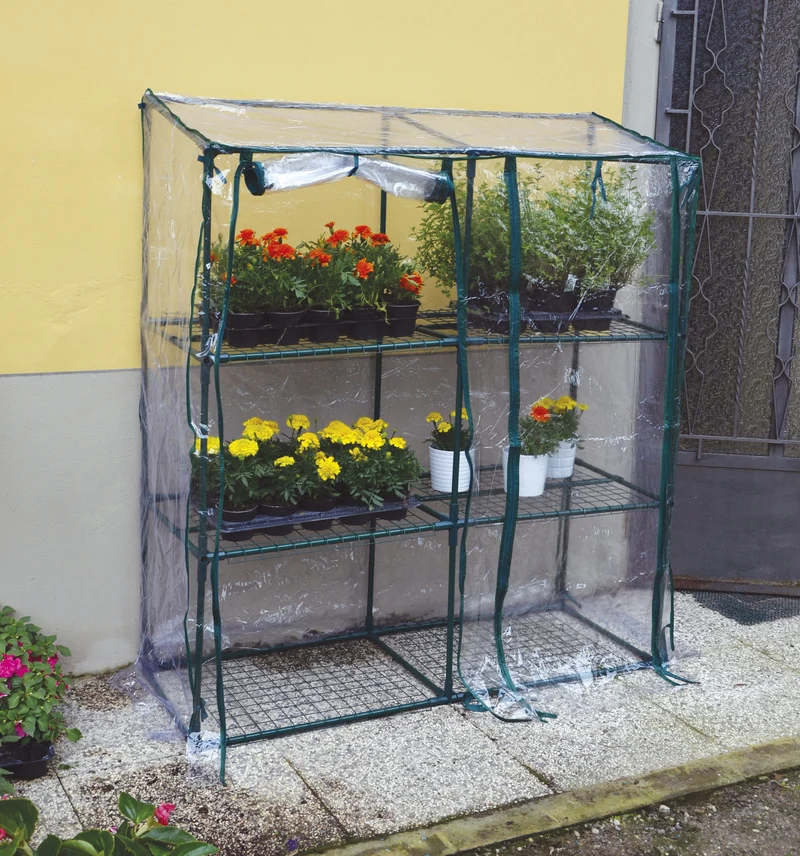 SERRA RETTANGOLARE Verdelook