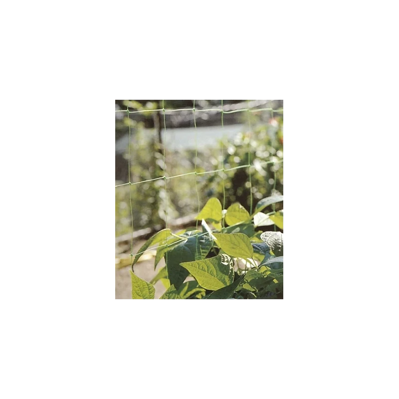 Rete flora