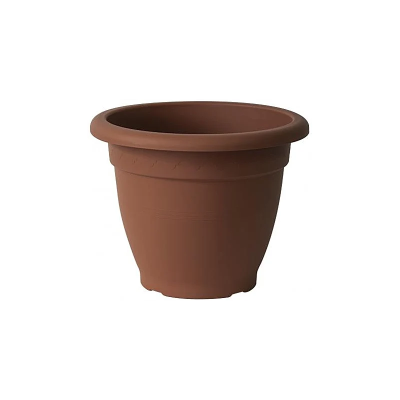 Vaso linteo
