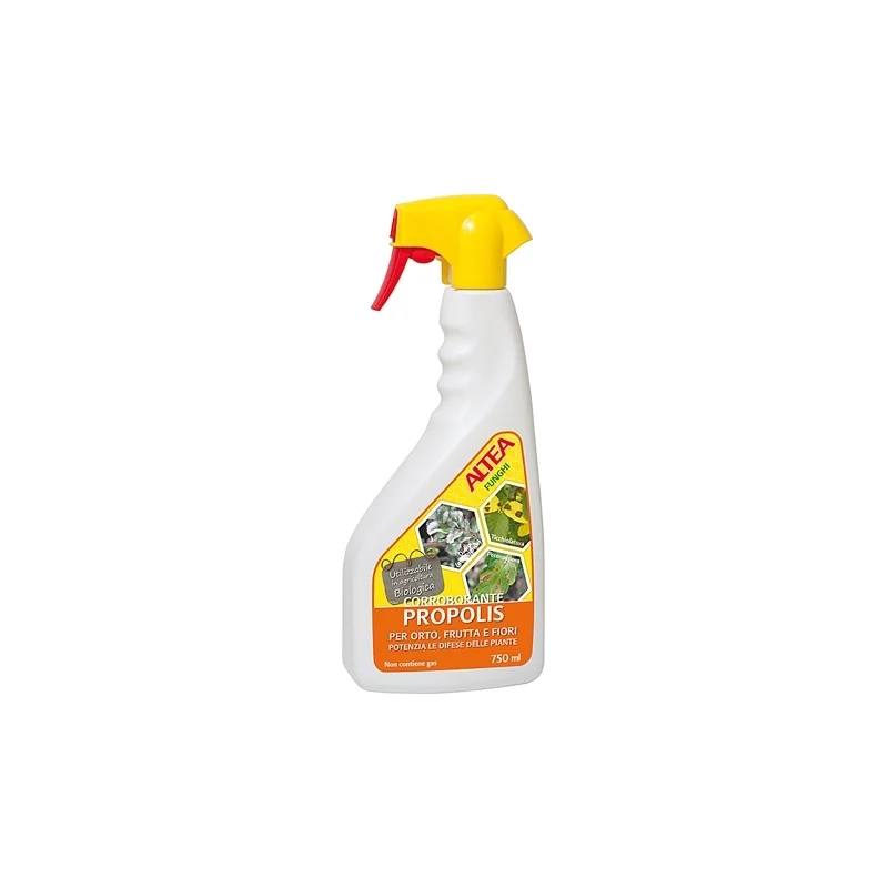 VASI, SOSTEGNI, INNAFFIATOI, Propolis funghi