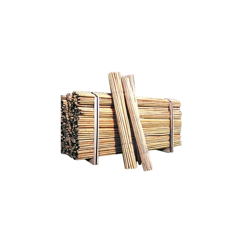 Canne in bambu'
