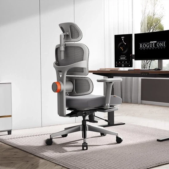 Sedia da ufficio ergonomico - Supporto adattivo - Braccialetti regolabili - Schienale regolabile - Grigio/Nero