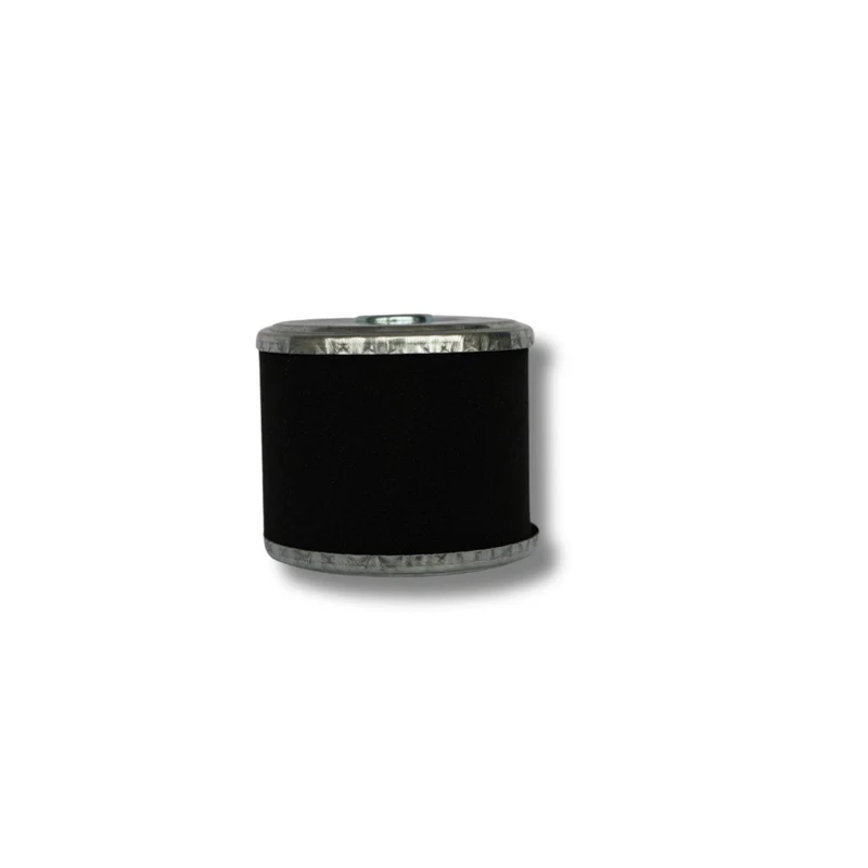 Filtro aria per FX-BV240 e FX-BV240ECO