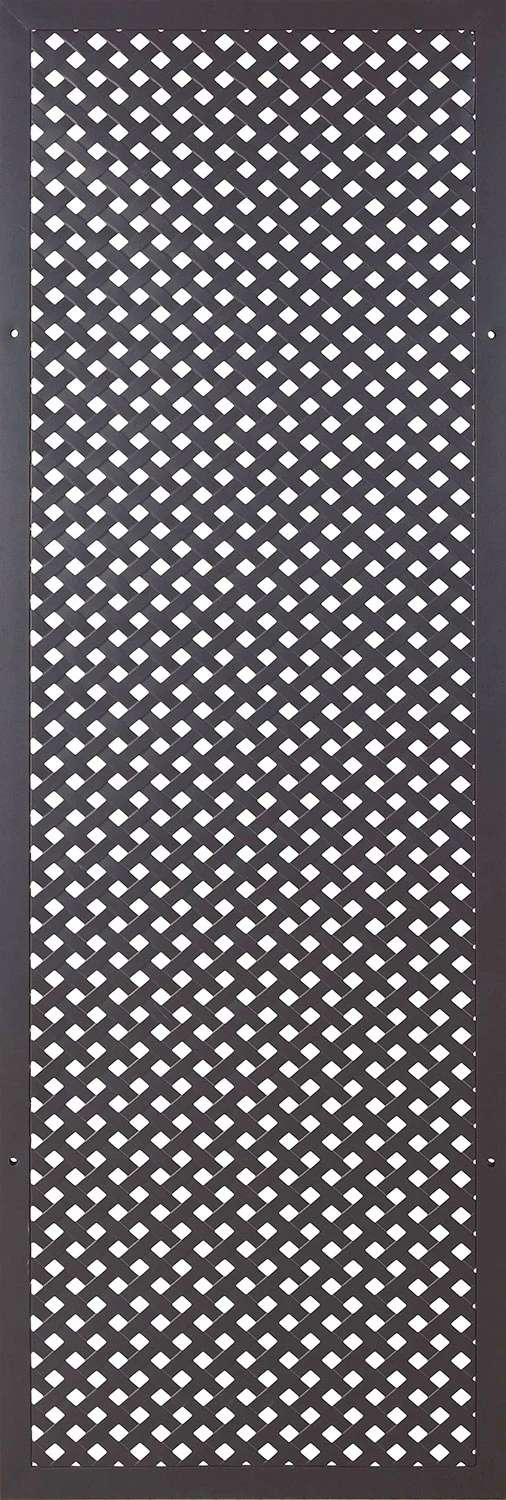 Set 2 Pezzi Traliccio Fisso Privacy con Cornice Verdemax 180x60 cm in Metallo Antracite
