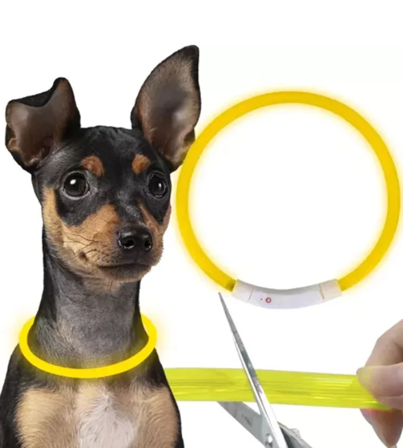 Collare LED Luminoso Cani e Gatto USB Ricaricabile Regolabile con Taglio 35 cm Animali Domestici Piccola e Media Taglia Fair