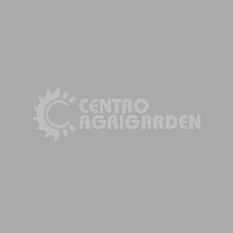COPPIA CONICA FS 70