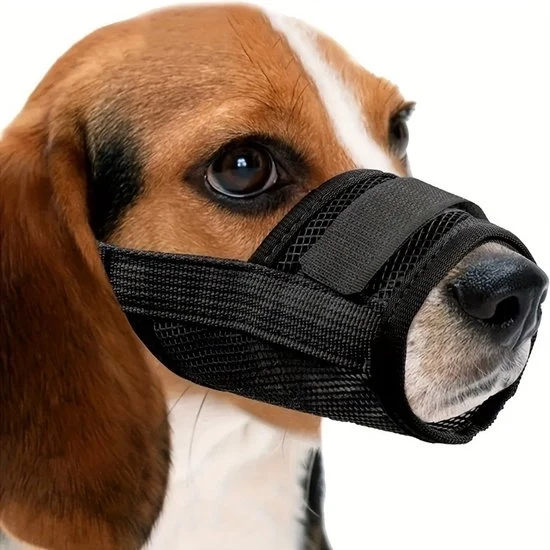 Muffa per Cani in Rete - 3-Pack - Muffa per Cani da Installare Velocemente - con Cintura Regolabile - Muffa Impedisce di Mordere e di Urlare - Impedisce di Mangiare Inavvertitamente - per Cani Piccoli Medio Grandi Grandi (M, Nero)