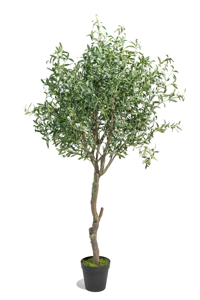 Ulivo artificiale realistico h245cm | Xone