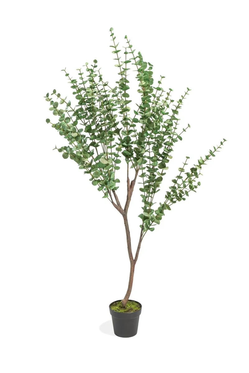 Pianta Artificiale Eucalipto Deluxe in vaso h140cm | Xone