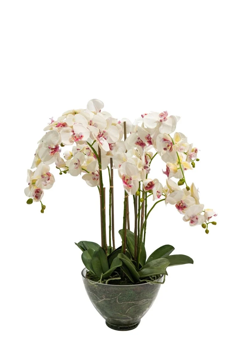 Pianta artificiale in vaso trasparente Orchidea Phalaenopsis h85 cm | Xone