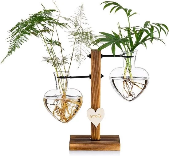 Terrario in vetro con supporto in legno - vaso per piante moderno - 1 pezzo - trasparente