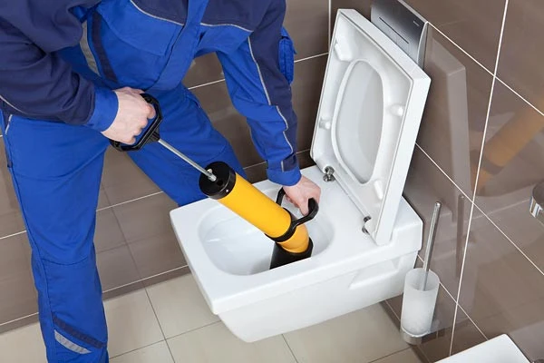 Pull-Push Rems rimozione ostruzioni