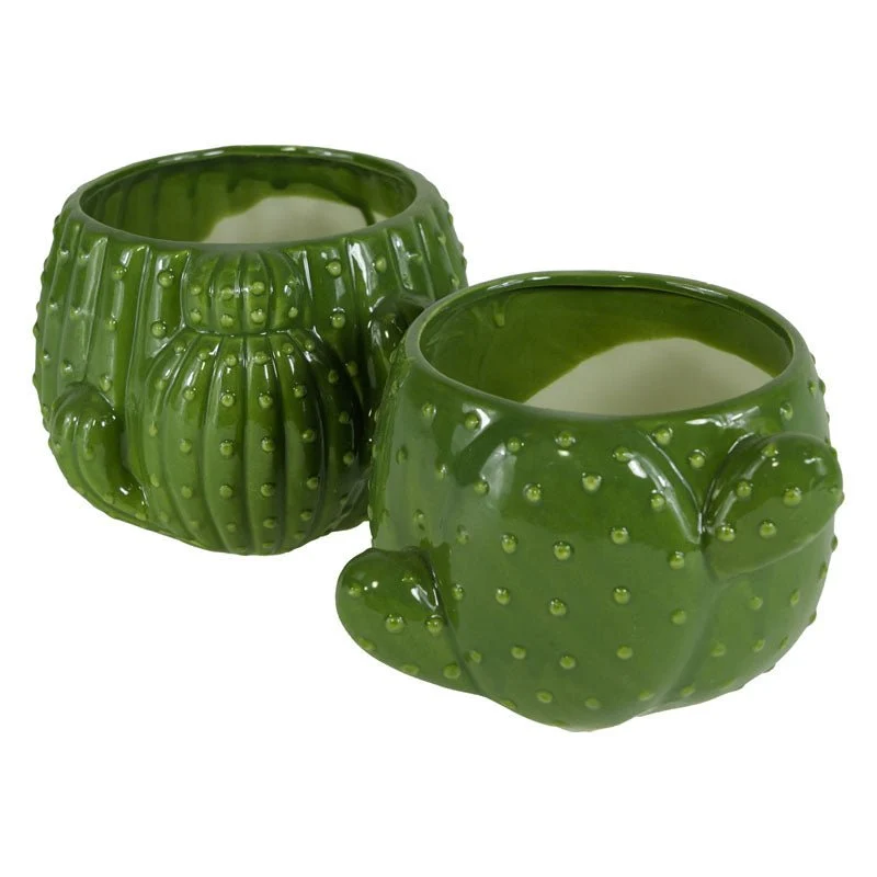 Vasetto cactus verde in ceramica