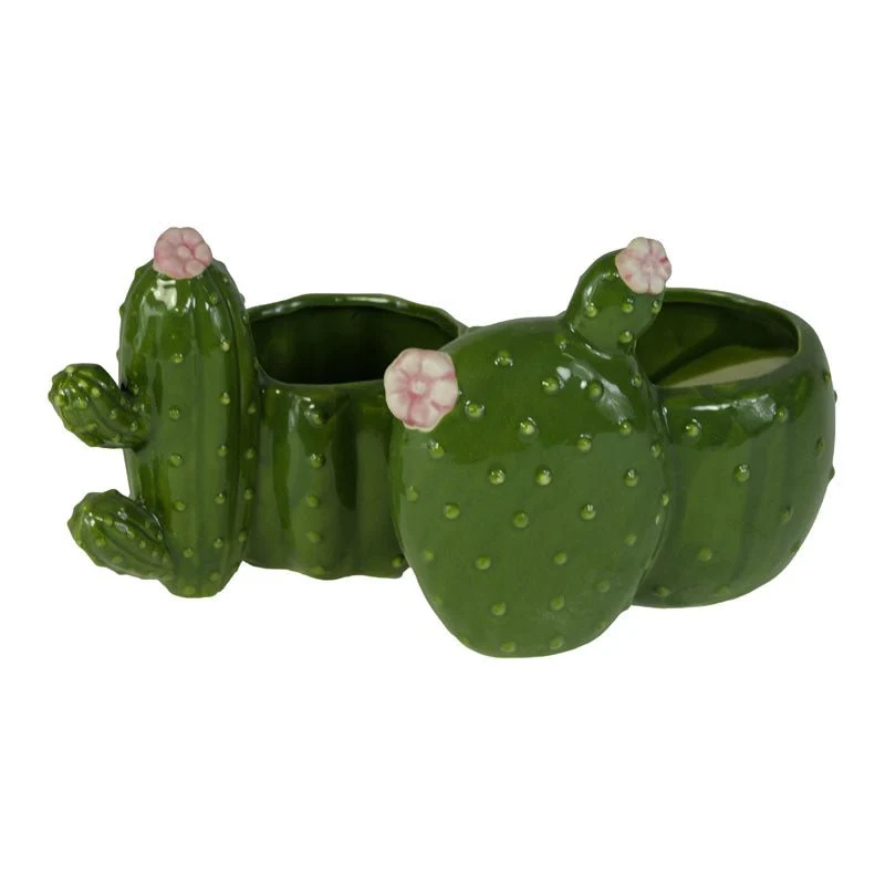 Vasetto Cactus in Ceramica Verde