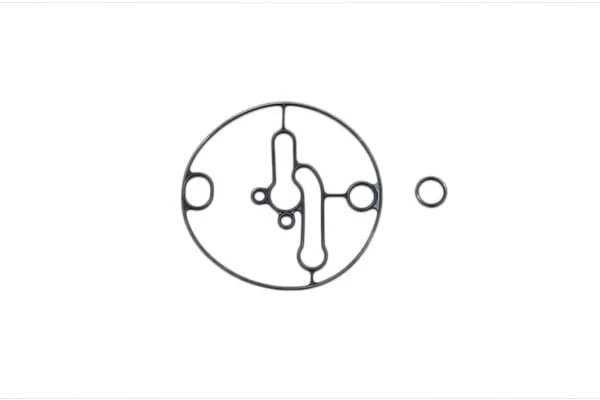 Guarnizione vaschetta carburatore Briggs&Stratton 698781
