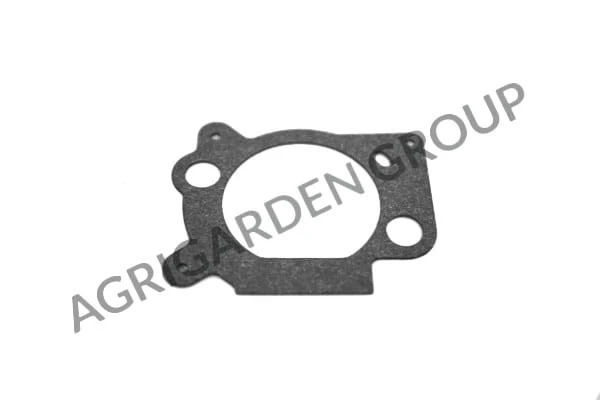 Guarnizione filtro aria Briggs&Stratton Intek 691894, 273364