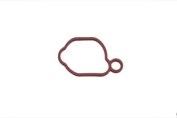 Guarnizione filtro aria Briggs&Stratton 691917, 697891, 281106