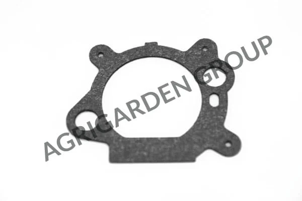 Guarnizione coperchio filtro aria Briggs&Stratton 795629, 272656S, 272653