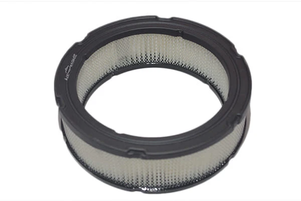 Filtro aria motore Briggs&Stratton a 2 cilindri e valvole laterali, orizzontali, v-twin vanguard