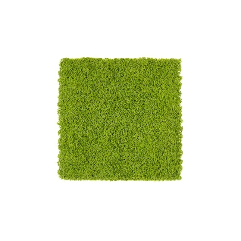 Siepe artificiale 3D 50x50 cm Muschio | Xone