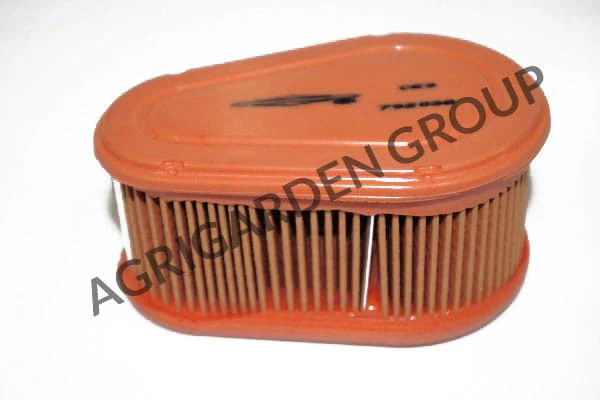 Filtro aria dov motore Briggs&Stratton 792038, 790388, 004245