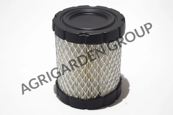 Filtro aria cleaner in carta motore Briggs&Stratton verticale, v-twin, intek