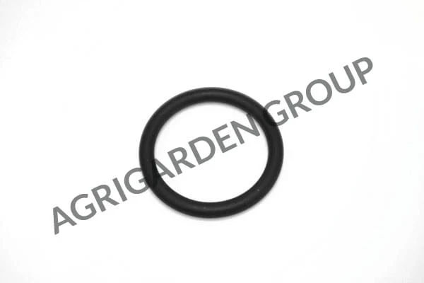 Anello di tenuta collettore aspirazione motore Briggs&Stratton 270344 s