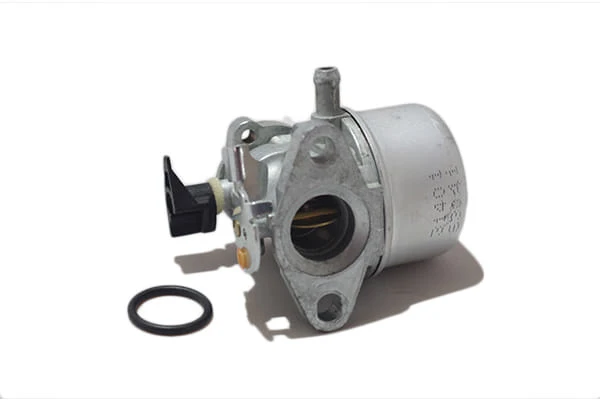 Carburatore Briggs&Stratton5 hp 493265, 494217, 493868, 790978