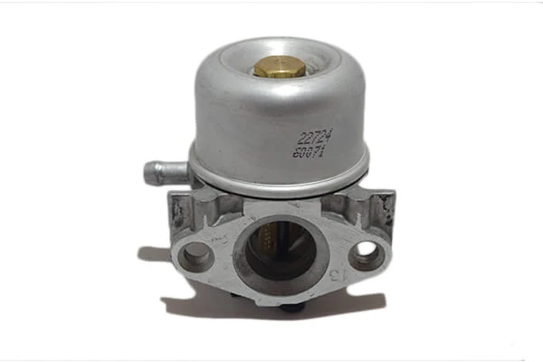 Carburatore Briggs&Stratton 799868, 498966, 498170, 694882, 497314, 498254, 698444, 497347, 498255