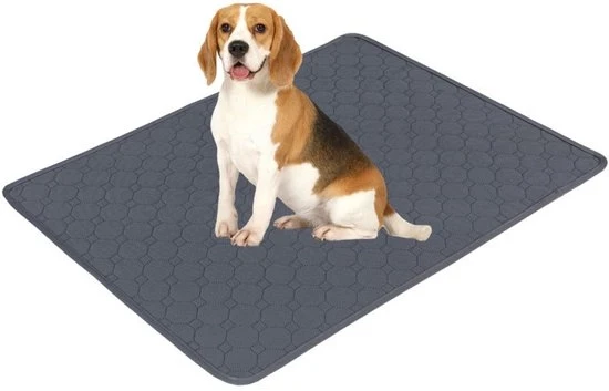Due pezzi di tappeto assorbente ultra per cani, protezione per cuscino per cane e cucciolo, adatto per cani/gatti/cavie (30 x 30 cm) XXS - grigio
