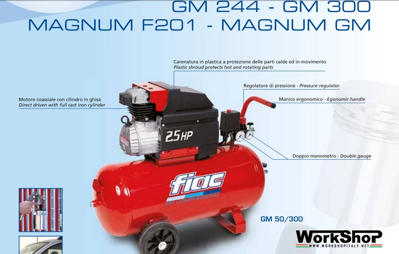 Compressore Fiac coassiale lubrificato Fiac GM 245 -302