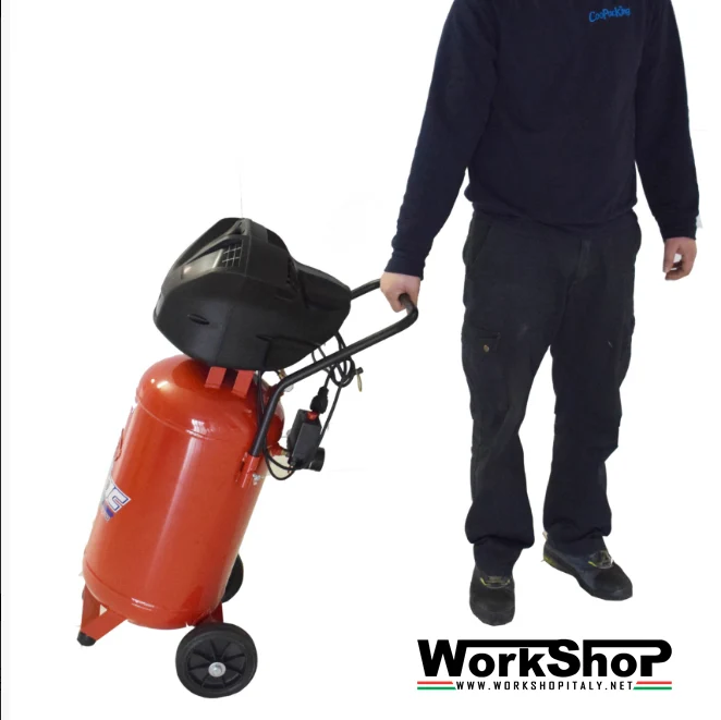 Compressori d’aria coassiali senza olio FIAC F6000/50V 50lt. 2200W 3hp