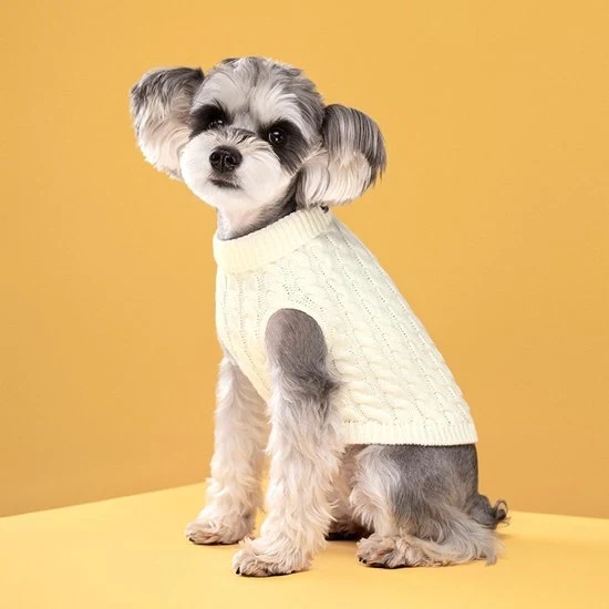Pantaloni da Cane - Bodywarmer per Cani - Giacca per Cani - Vestiti per Cani - Abbigliamento per Cani - Coltre per Cani - Colletto a Pizzo - Abbigliamento per Cani - Vestito per Cani - Per Piccoli e Medio Grandi Cani e Gatti - Taglia S - Bianco