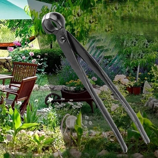 Attrezio per bonsai - taglia rami - manico ergonomico - lama in acciaio inossidabile - taglio preciso - adatto per bonsai - modello verde Modello: Specifica tecnica: Codice prodotto: