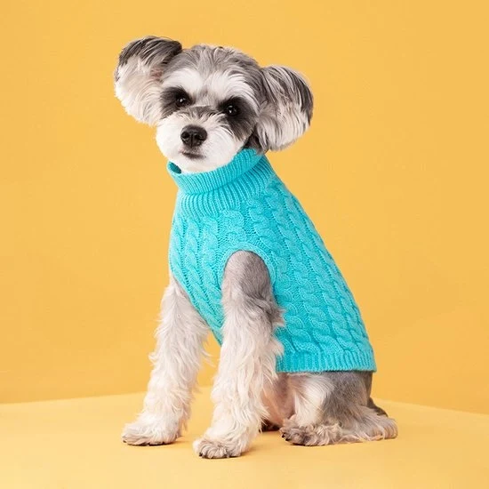 Pantaloni per cani - Bodywarmer per cani - Giacca per cani - Vestito per cani - Abbigliamento per cani - Coltre per cani - Abbigliamento per cani - Coltre per cani - Per cani e gatti piccoli e medi - Taglia M - Blu celeste