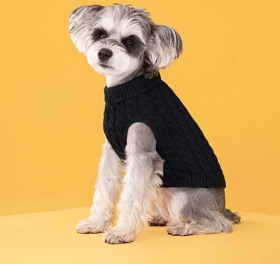 Abbigliamento per Cuccioli - Cappotto per Cuccioli - Bodywarmer per Cani - Giacca per Cani - Vestito per Cani - Abbigliamento per Cani - Coltre per Cani - Cappotto per Cani - Per Piccoli a Medio Grandi Cani e Gatti - Taglia M - Nero
