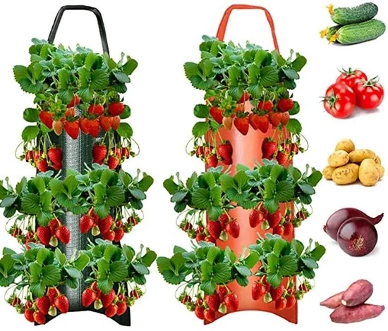 Zak per fragole appoggiato - materiale respirante - 1 pezzo - verde/arancione - 70 x 25 cm