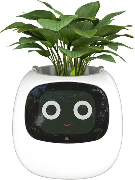 Vaso di Fiori Intellegente per Decorazione Interna - Bianco