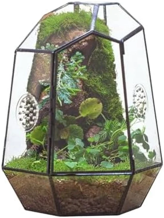 Terrario geometrico in vetro con ventilazione - Cassetta per piante nera per interni