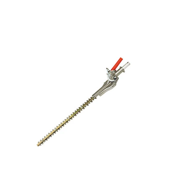 Applicazione tagliasiepi - DS 2400 D e DS 3000 D Efco