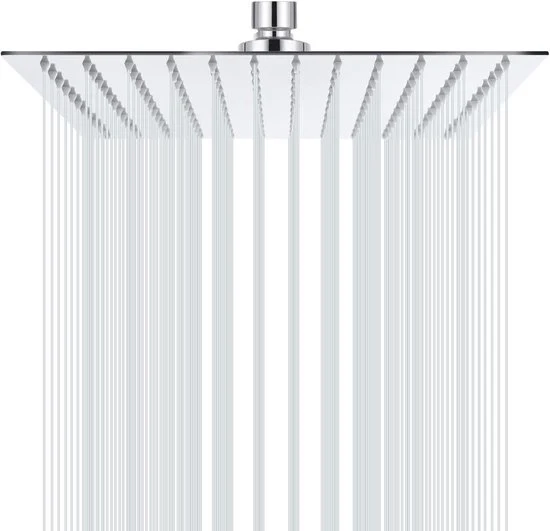 Douchekop con doccia 12 pollici - Acciaio inossidabile - 30 x 30 cm - Cromo