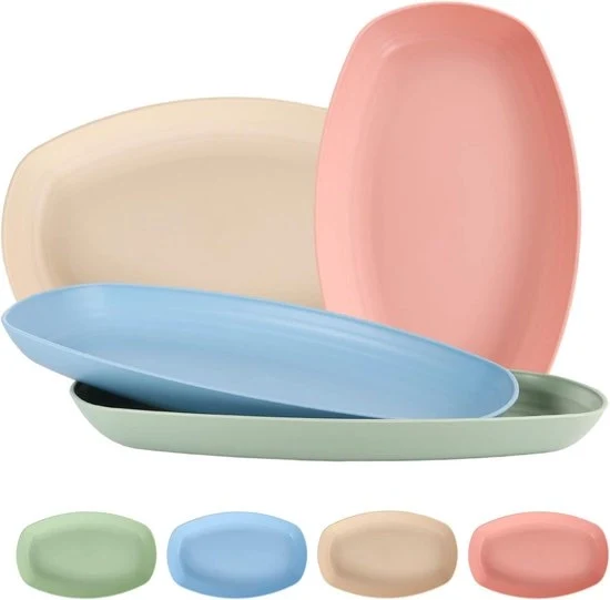 Set di 4 piastre rettangolari in plastica per carne, antipasti e dessert.