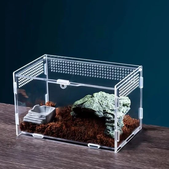 Cassa Cibo insetti - Riproduttrice per rettili - 20x12x12 cm