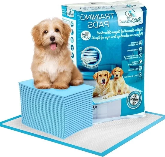Pannolino di Addestramento per Cani 30 pezzi - Grande Super Assorbente Pannolino di Addestramento per Cani - 60x60 cm