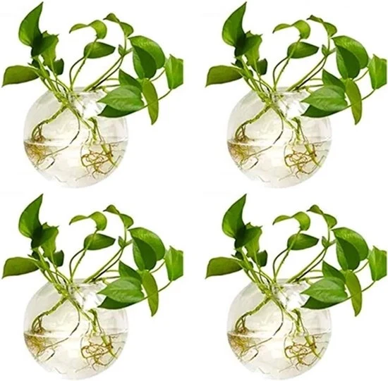 Pentole per Piante in Vetro Sferico - Decorazione per Parete - 4 Pezzi - 10cm di Diametro