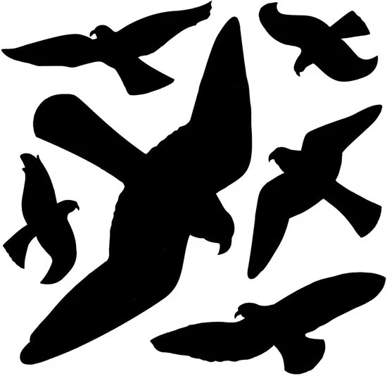 Stickers per uccelli - Difesa efficace dagli uccelli - Set da 6 - Materiale duraturo