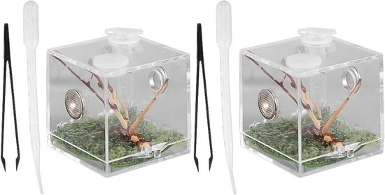 Kit per Terrario per Spinose Reptili - Ideale per gli Appassionati di Terrario - 2 Pezzi