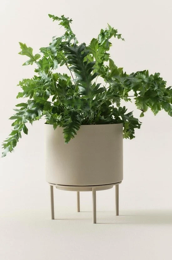 Piantagione in acciaio - versatile per interni ed esterni - 1 pezzo - beige - 26 cm alto